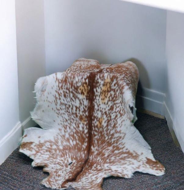 Premium Natural Cowhide Rug – Brown & White Speckled Hair-On Hide